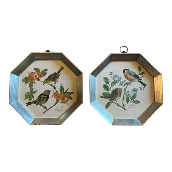 Vintage Hexagon Framed Bird Pictures - Picture 3 of 8